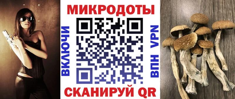 мега зеркало  мориарти телеграм  Псилоцибиновые грибы прущие грибы  Ростов 